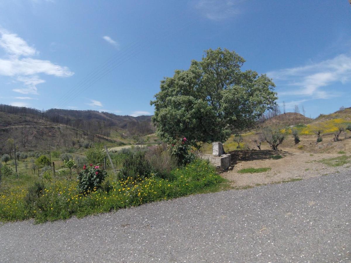 Гостевой дом Palheiros Da Ribeira Pracana Cimeira Экстерьер фото